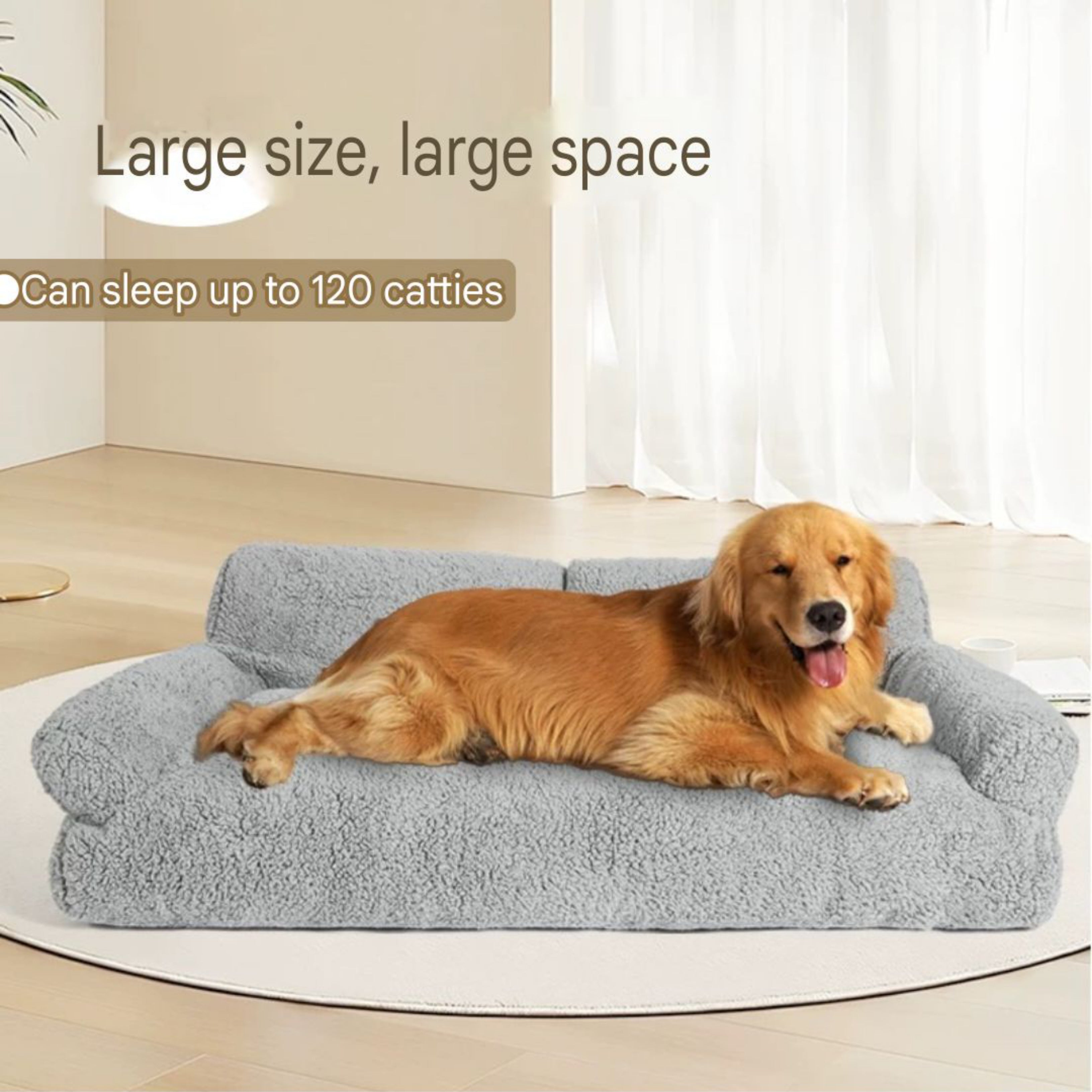 Stylish and Cozy Sofa Bed