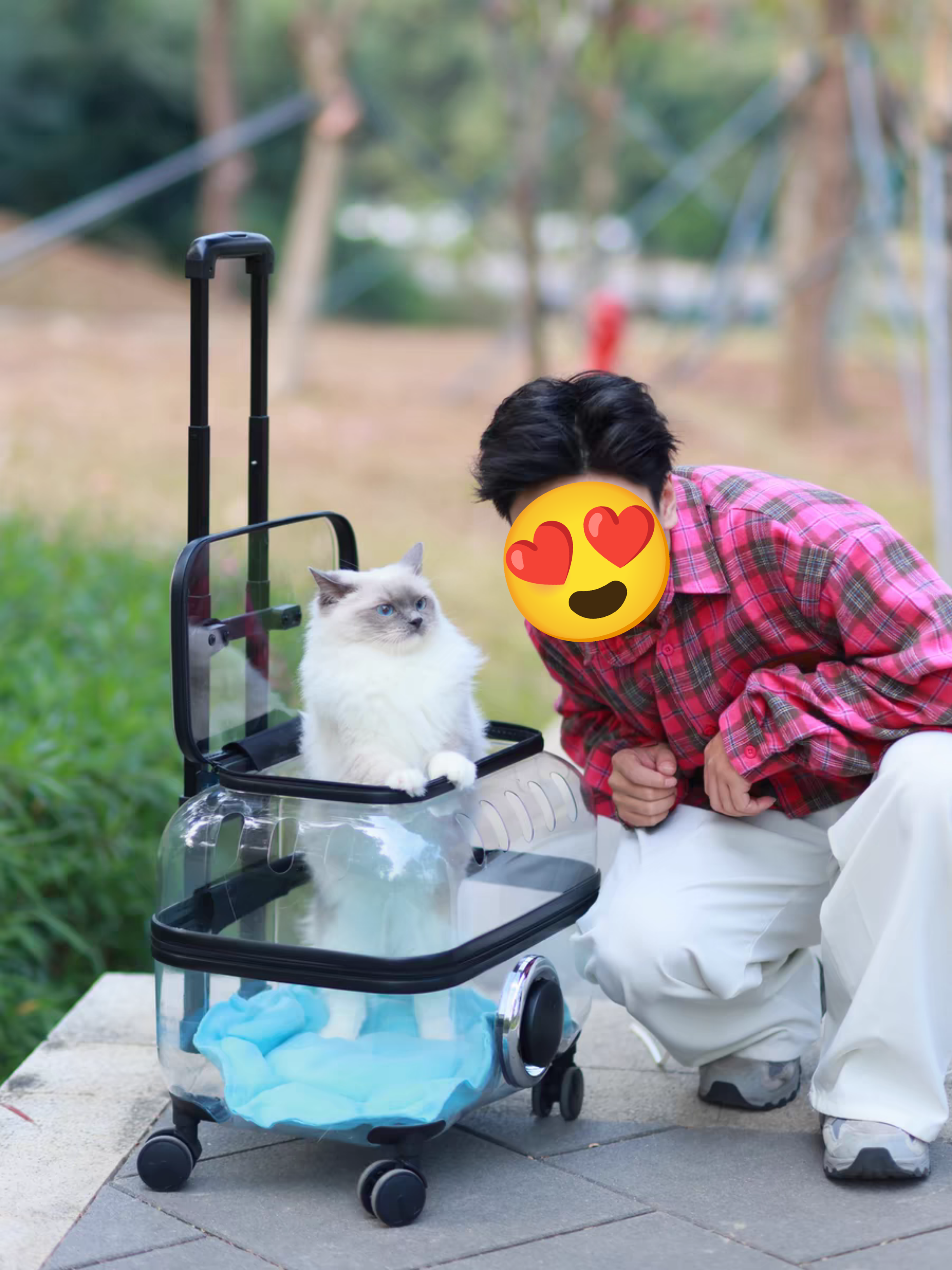 Transparent Pet Travel Trolley