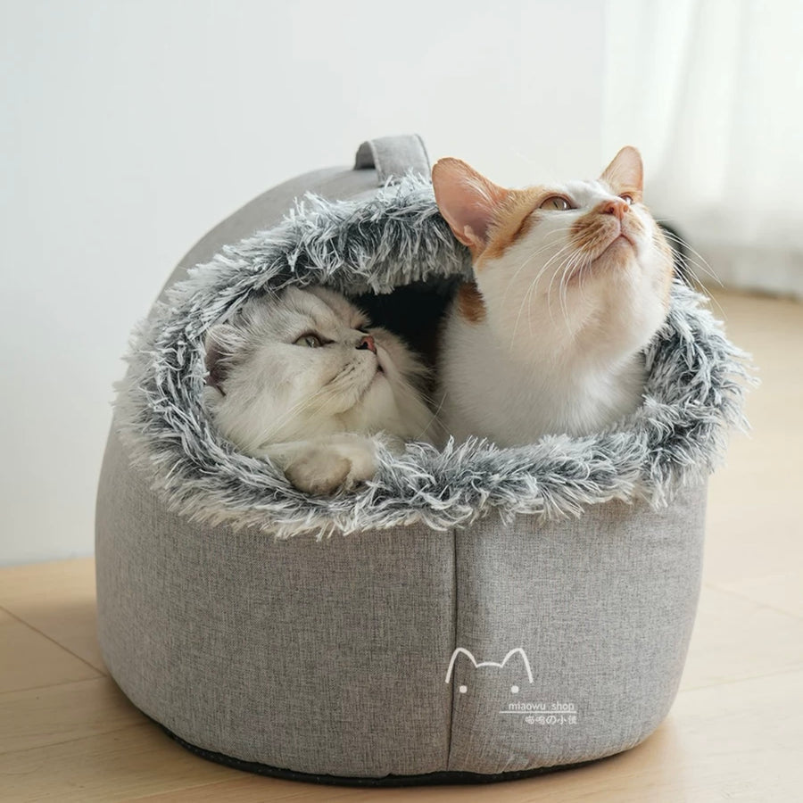 Winter Cat Shelter House