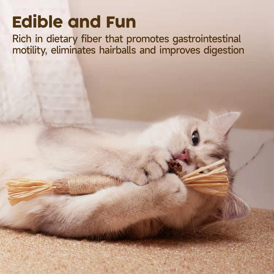 Silvervine Cat Chew Sticks Natural Cat Dental Chew Toy